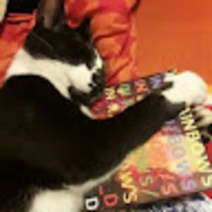 Meet your Posher, Olive